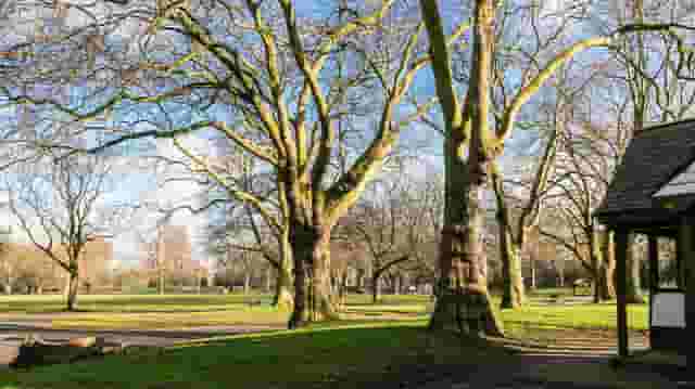 Wandsworth Parks and Commons