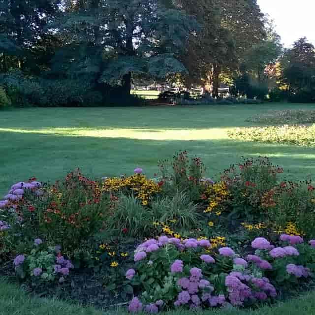 Ravenscourt Park - image 3