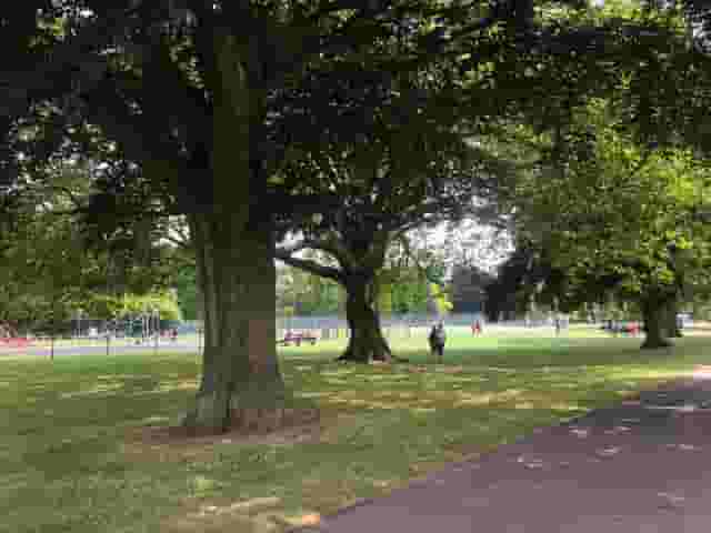 Lammas Park