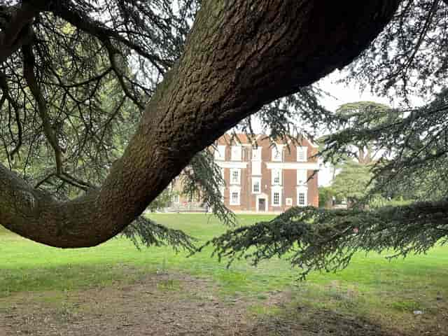 Lammas Park - image 3