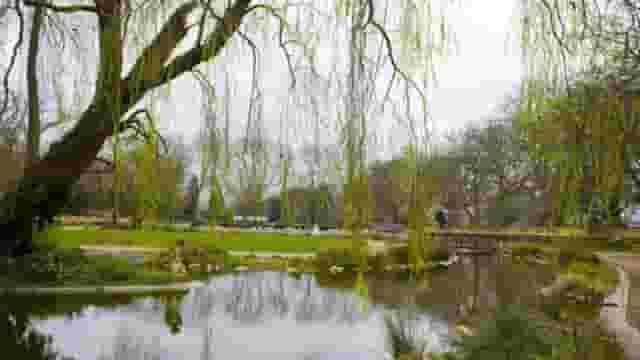 Bishops Park