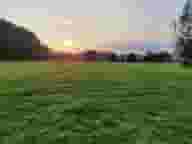 Surrey