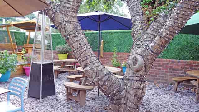The Mug House - image 3