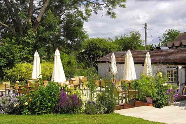The Old Bush - image 3