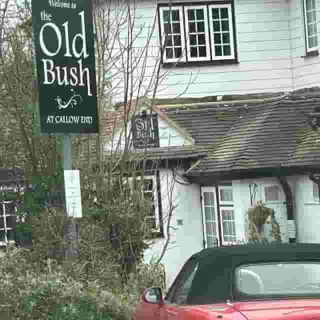 The Old Bush