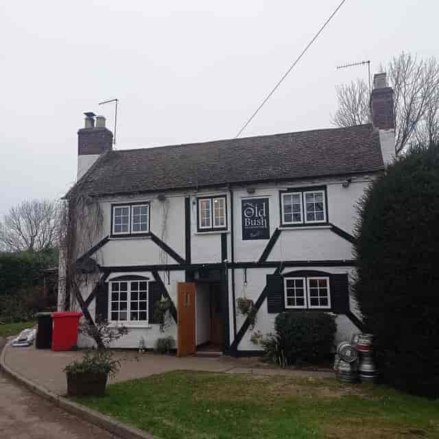 The Old Bush - image 2