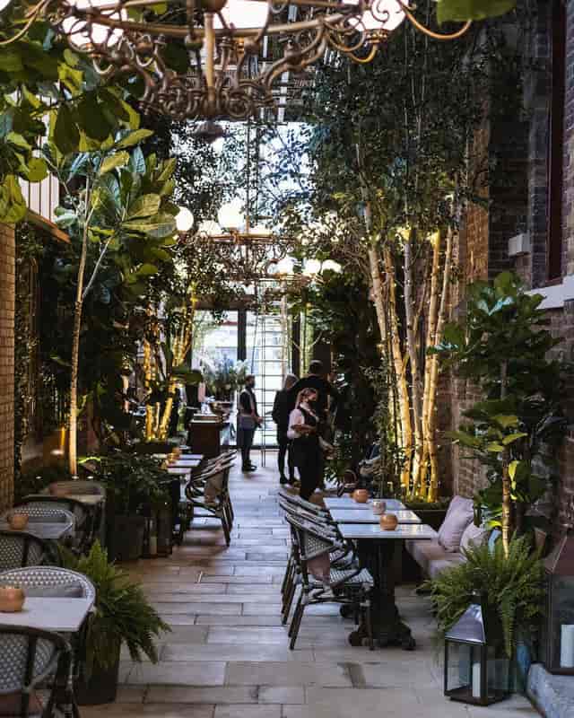 Half Moon Cafe - image 2