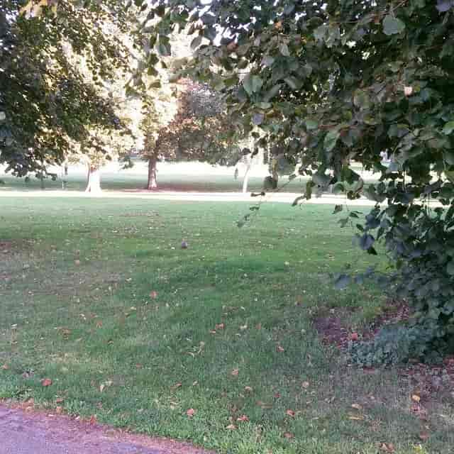 Becket's Park - image 3