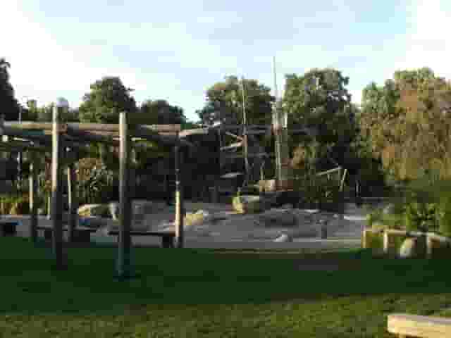 Playground Adjacent Lawn