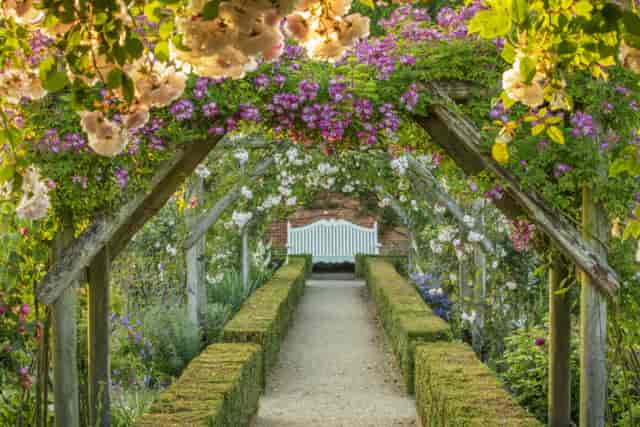 Flower Walk Lawns - image 2