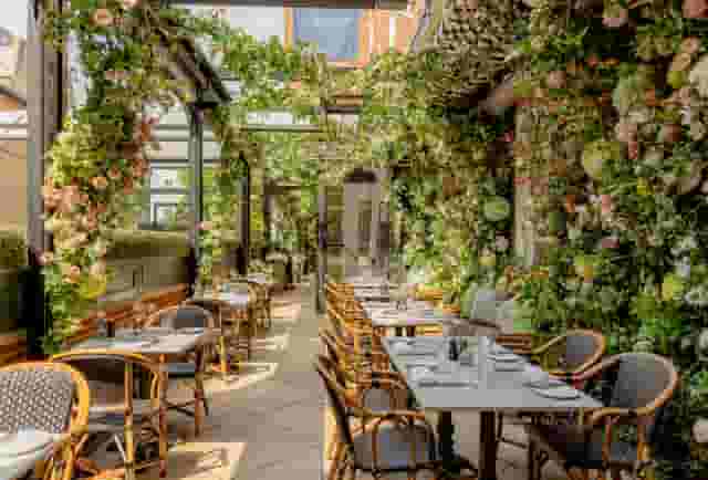 Dalloway Terrace