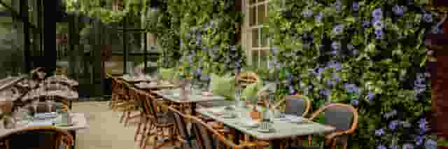 Dalloway Terrace