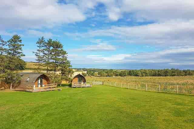 The Loft Glamping & Camping - image 3