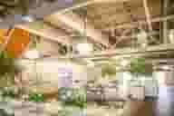 Worcestershire