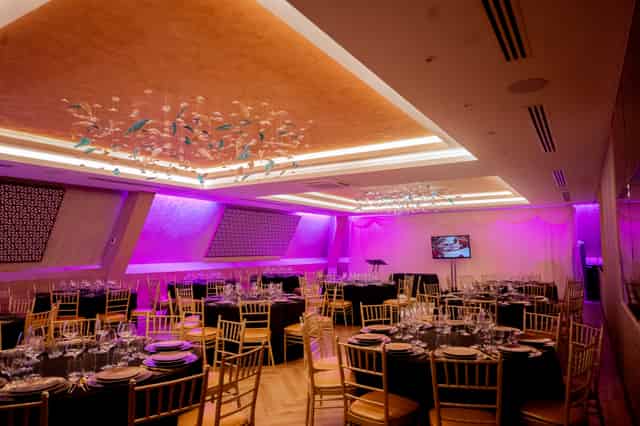 Orion Suite 