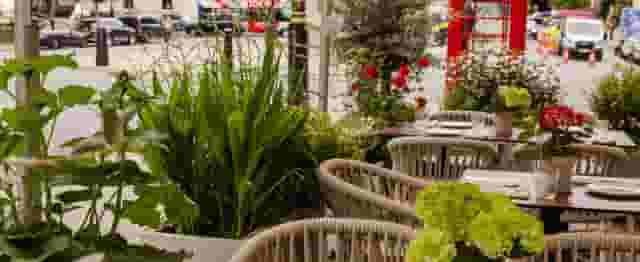 Mediterranean Terrace