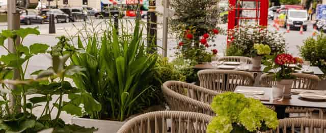 Mediterranean Terrace