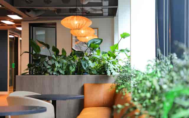 24 Endell Street - image 3