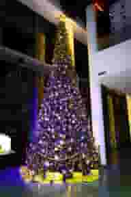 Party Venues