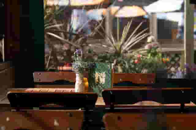 The Prince Albert