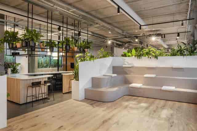 Biophilic breakout space with tiered seating for workshops and networking events.