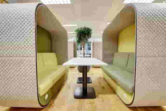 The Cocoon