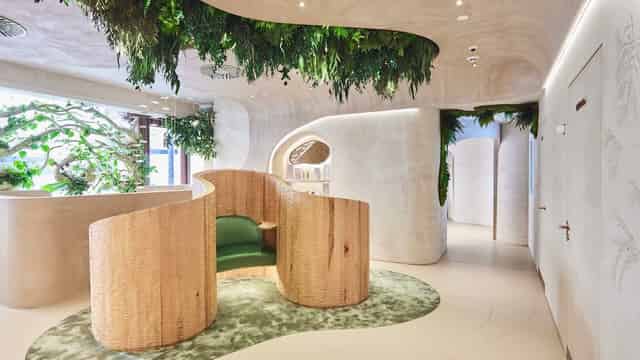 The Cocoon