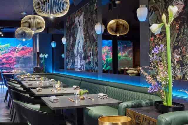 High-end Ozoku restaurant with ambient botanical decor for networking events and private dinners.