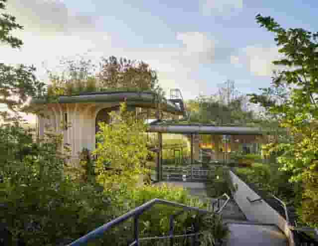 Structure Wellness