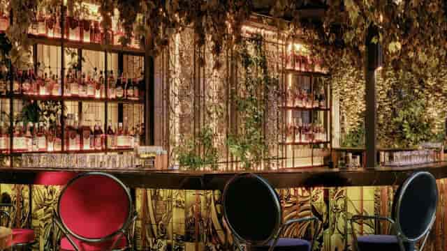 High-end Vino.Vita wine bar with ambient lighting for VIP networking and corporate cocktail events.