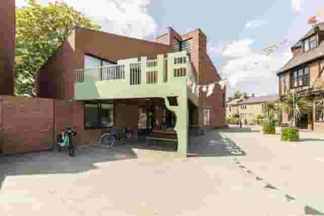 Ivy