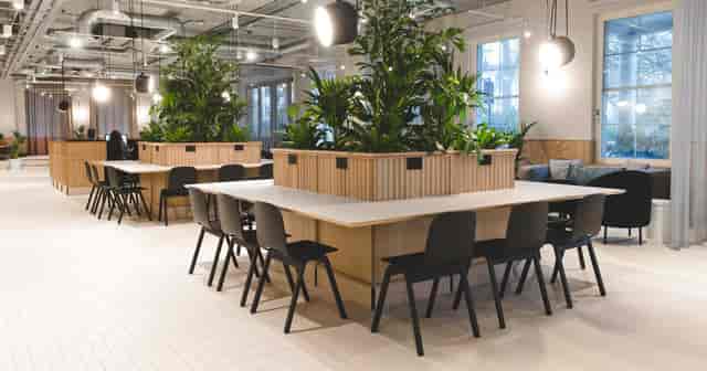 Biophilic Meeting Room 1 at Fora Thomas House, perfect for collaborative coworking and team sessions.