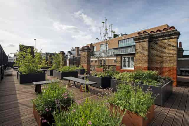 Rooftop garden terrace at Cathedral View, perfect for urban corporate events and wellness gatherings.