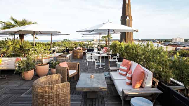 Rooftop Garden