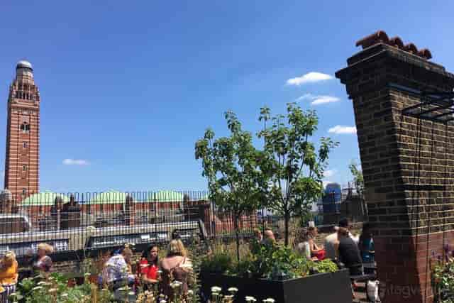 Rooftop garden venue at Cathedral View for premium networking and summer receptions.