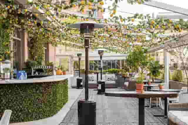 Courtyard Garden