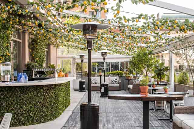 Courtyard Garden cocktail reception at The Portland Arms featuring decorative lemon trellis.