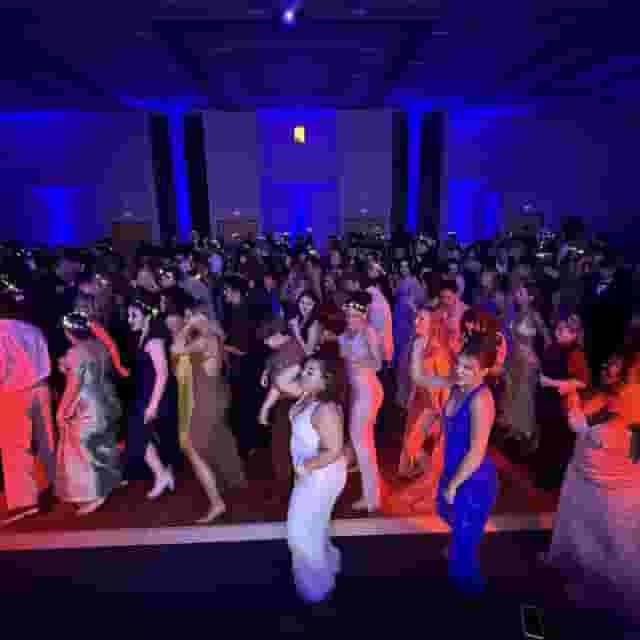 Whole Venue