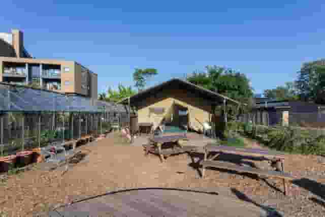 Big Jarrah and Garden