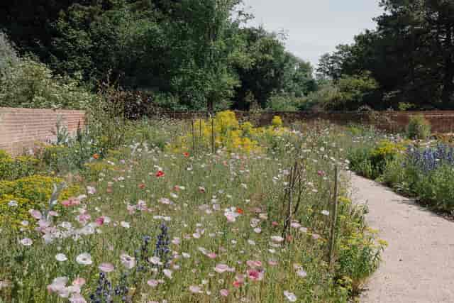 Olden Garden outdoor venue for intimate garden receptions and alfresco networking events.