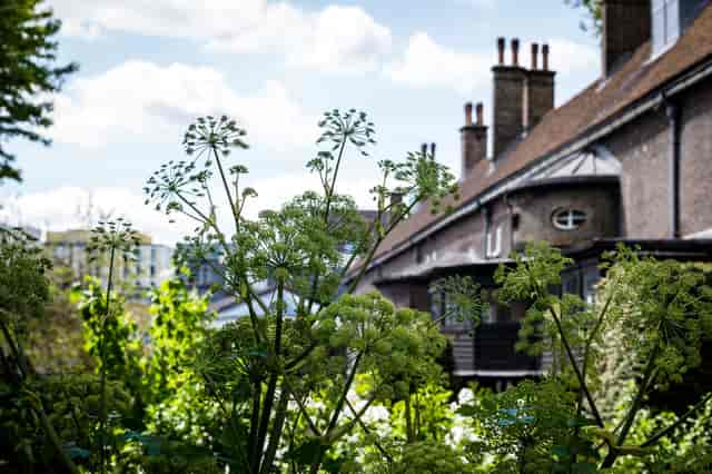 Olden Garden outdoor venue for intimate breakout sessions and scenic networking events.