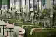 Party Venues