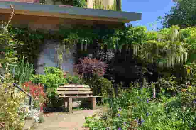 Culpeper Community Garden