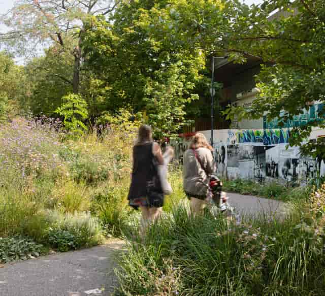 Maxilla Gardens outdoor venue for casual team-building and networking events.