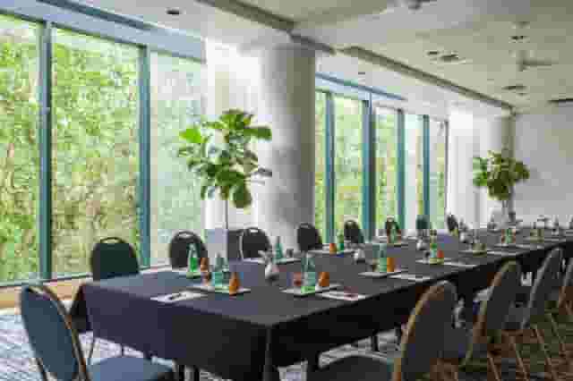 Royal Palm Room