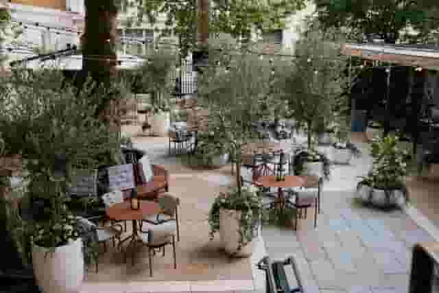 Sale e Pepe Terrazza