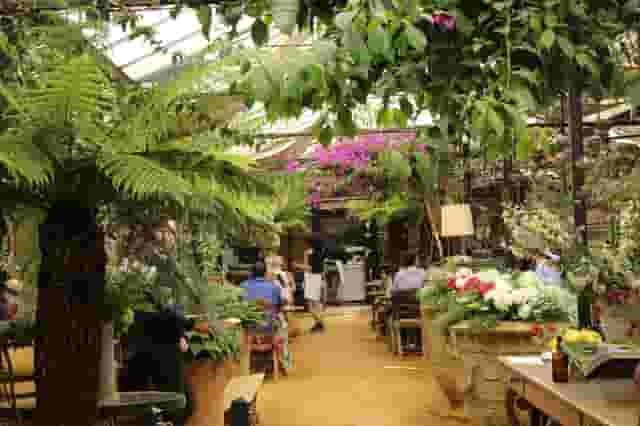 Gallery and Conservatory