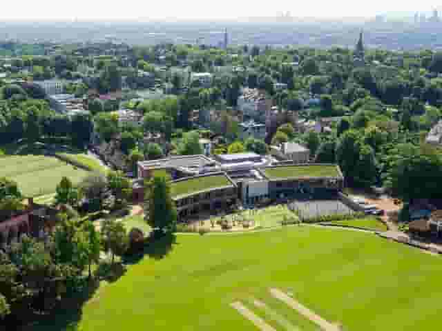 Senior Field