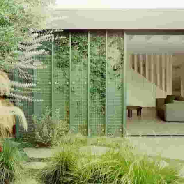 Extension