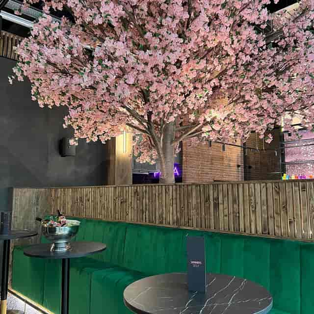 Sky Bar with cherry blossom tree and emerald velvet seating for boutique event or brand activation.